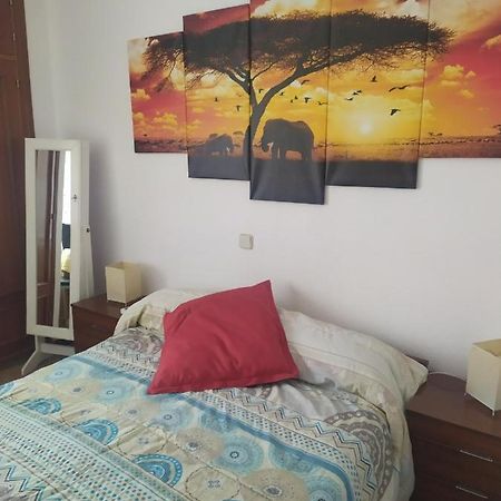 مدريد Habitacion Tranquila المظهر الخارجي الصورة